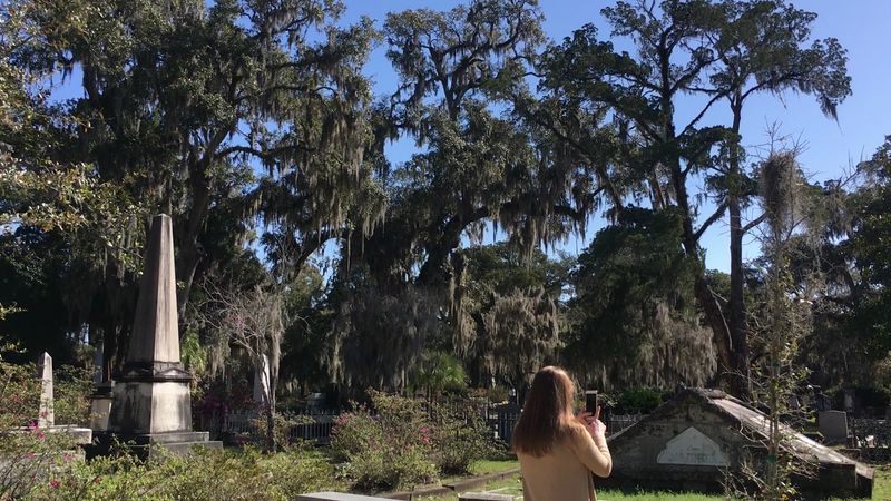 This Haunted Landmark Bonaventure Cemetery Savannah Georgia Draws Thousands - Decor Hint Natural Beauty of the Grounds