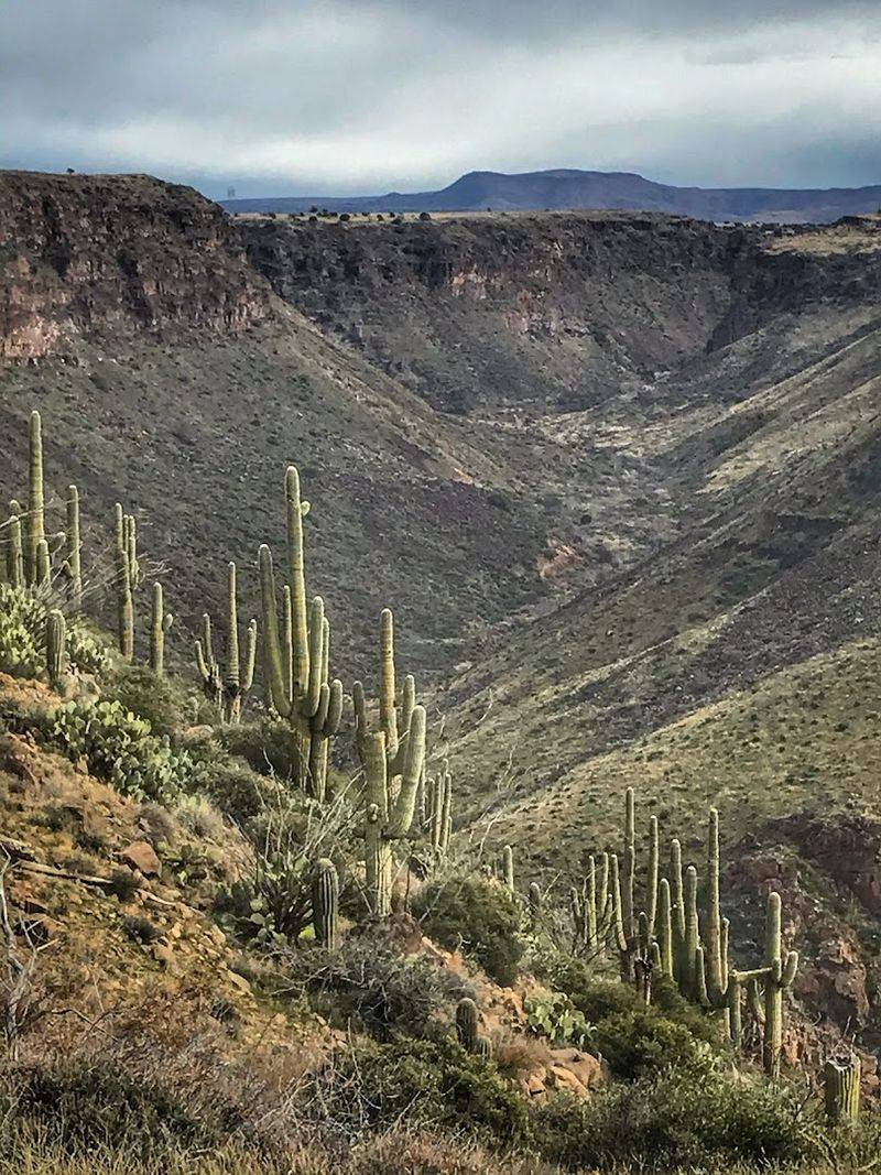 What To Expect From The Terrain