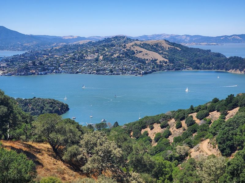 The Best Hiking Trails With Unmatched Bay Views