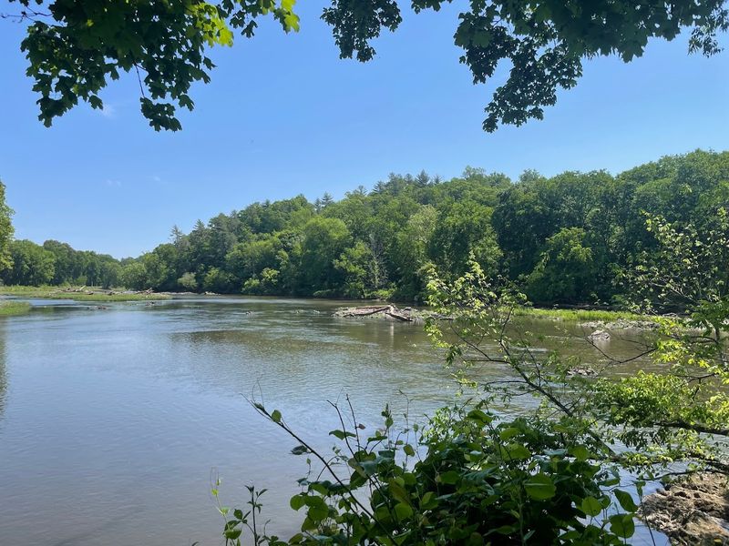 North Carolina’s Best Kept Mystery With The Ancient Pines And The Mermaid’s Secret - Decor Hint The Legend Of The Confluence