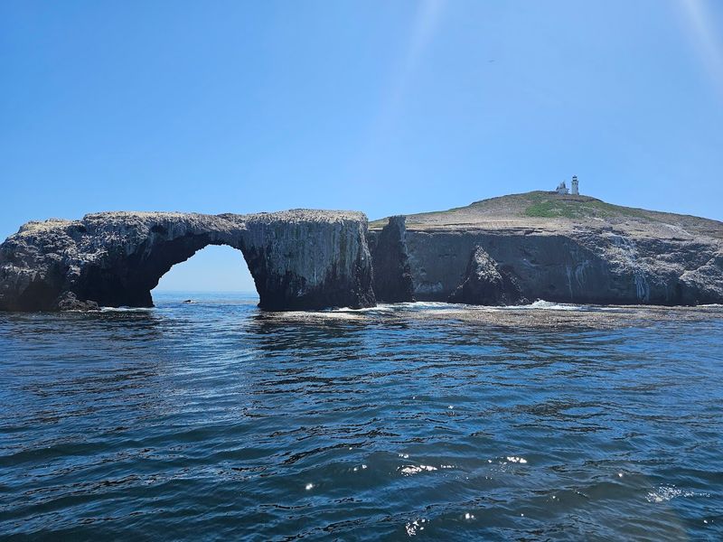 California's Remote Island That Feels Like Another World - Decor Hint The Anacapa Deer Mouse Lives Here And Nowhere Else