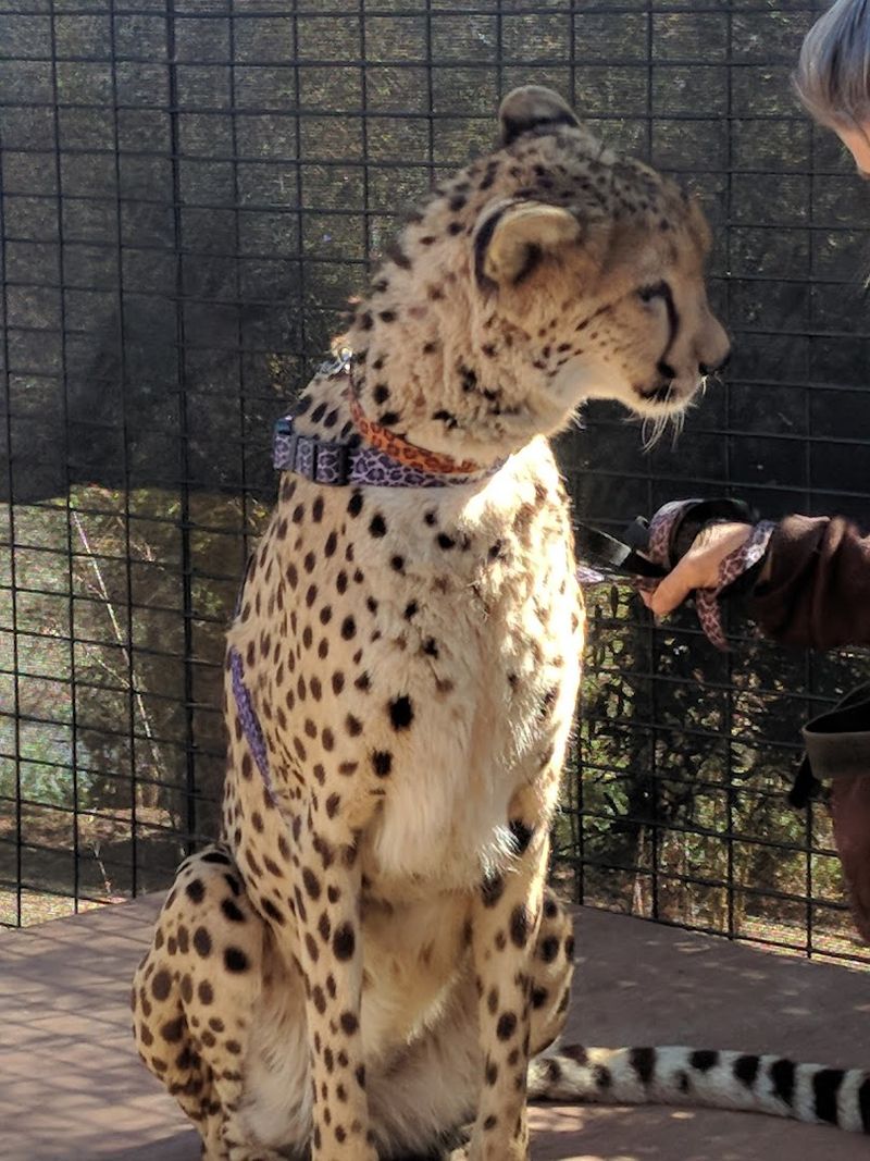 Zoo Camps Give Kids A Hands-On Learning Experience