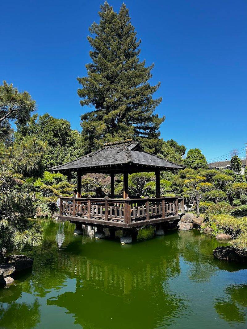 A Tea House Pavilion Worth Sitting In