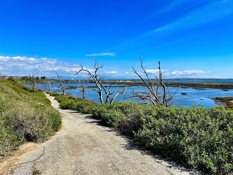 Five Miles Of Public Trails Wind Through The Reserve