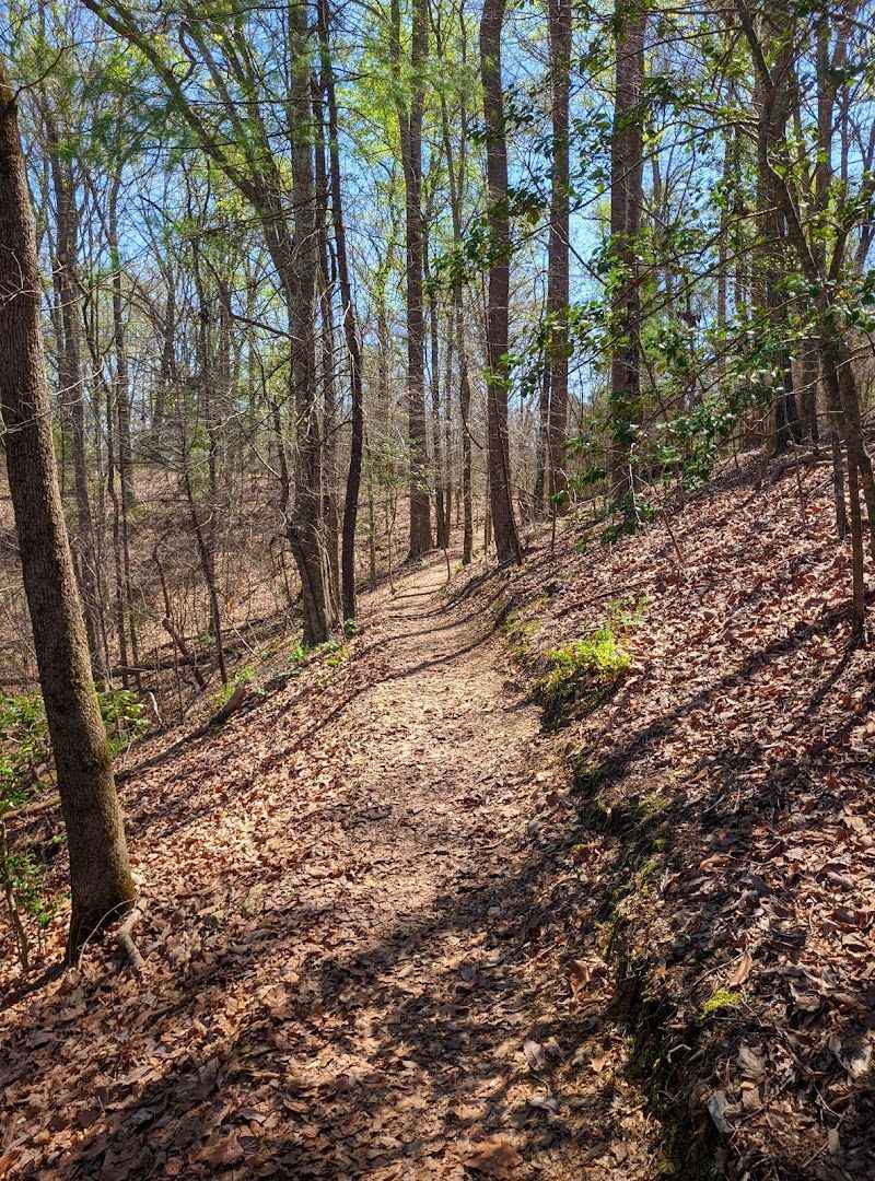 North Carolina’s Best Kept Mystery With The Ancient Pines And The Mermaid’s Secret - Decor Hint The Ancient Stone Bluffs Of The Deep River