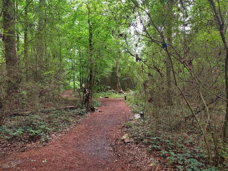 A Window Into Industrial History