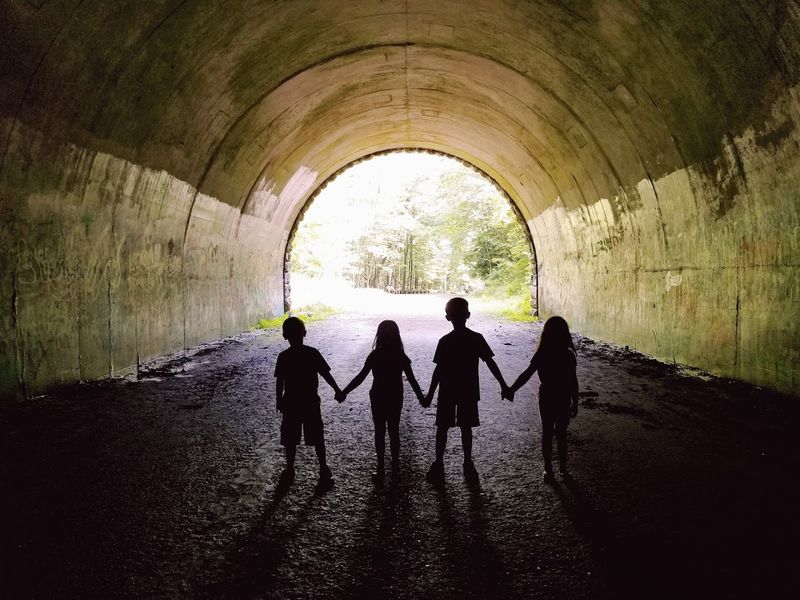 The Strange Story Behind North Carolinas Road To Nowhere