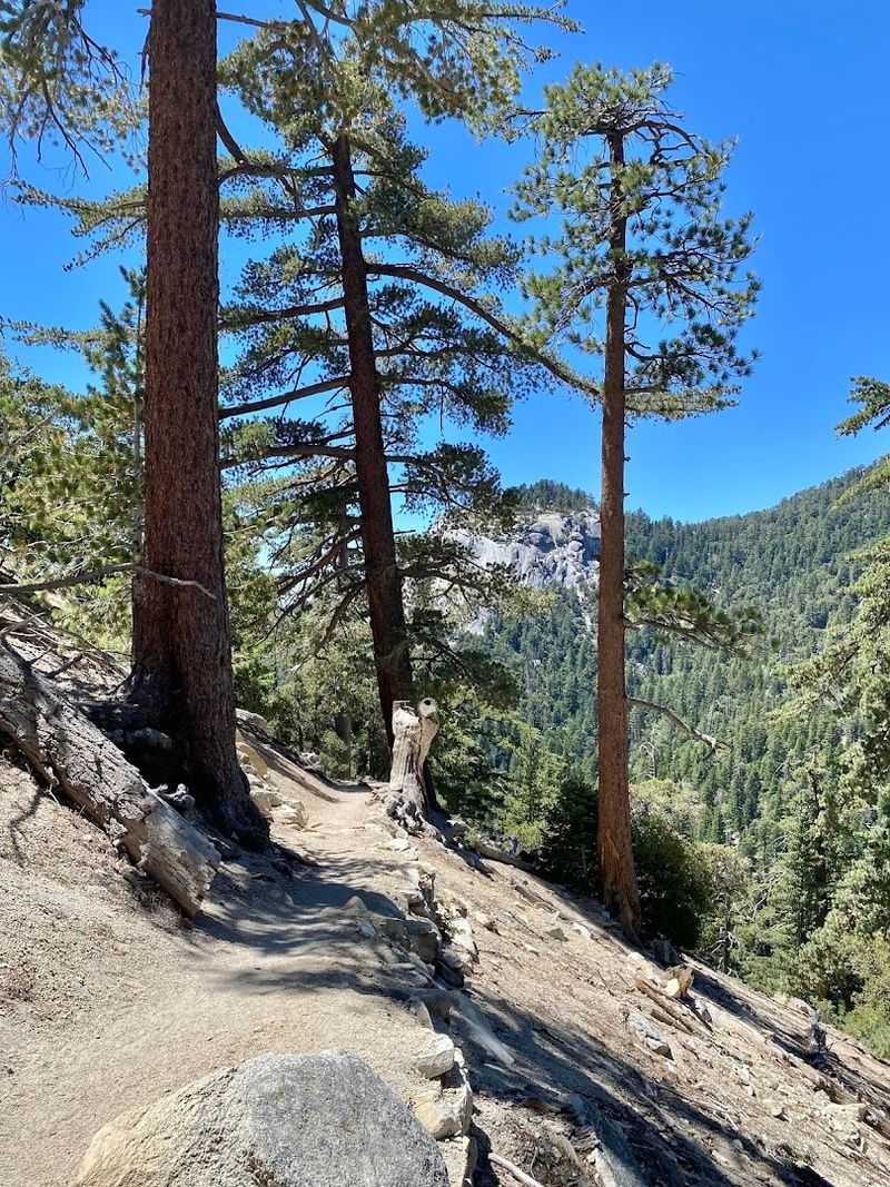 Diverse Plant And Animal Life Surrounds The Trail