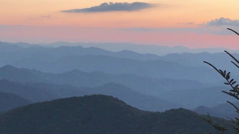 The Rare Alpine Ecosystem Of The Balsams