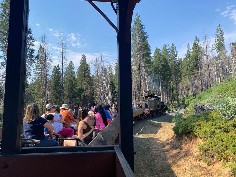 Families With Dogs Are Welcome On Board