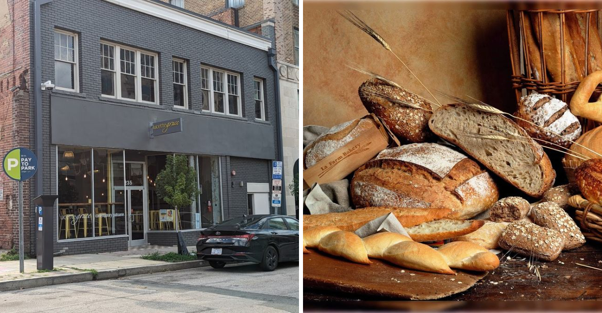 The North Carolina Bakeries Locals Will Never Tell You About - Decor Hint
