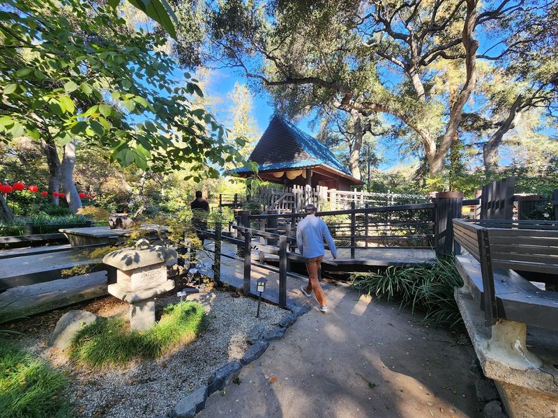 The Japanese Garden Offers A Peaceful Contrast