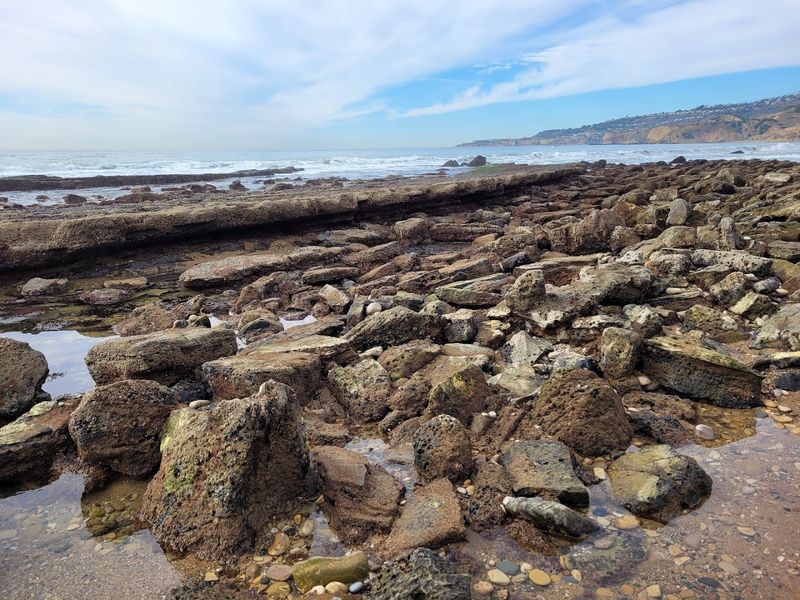 You Do Not Need Hours To Feel Completely Immersed Here