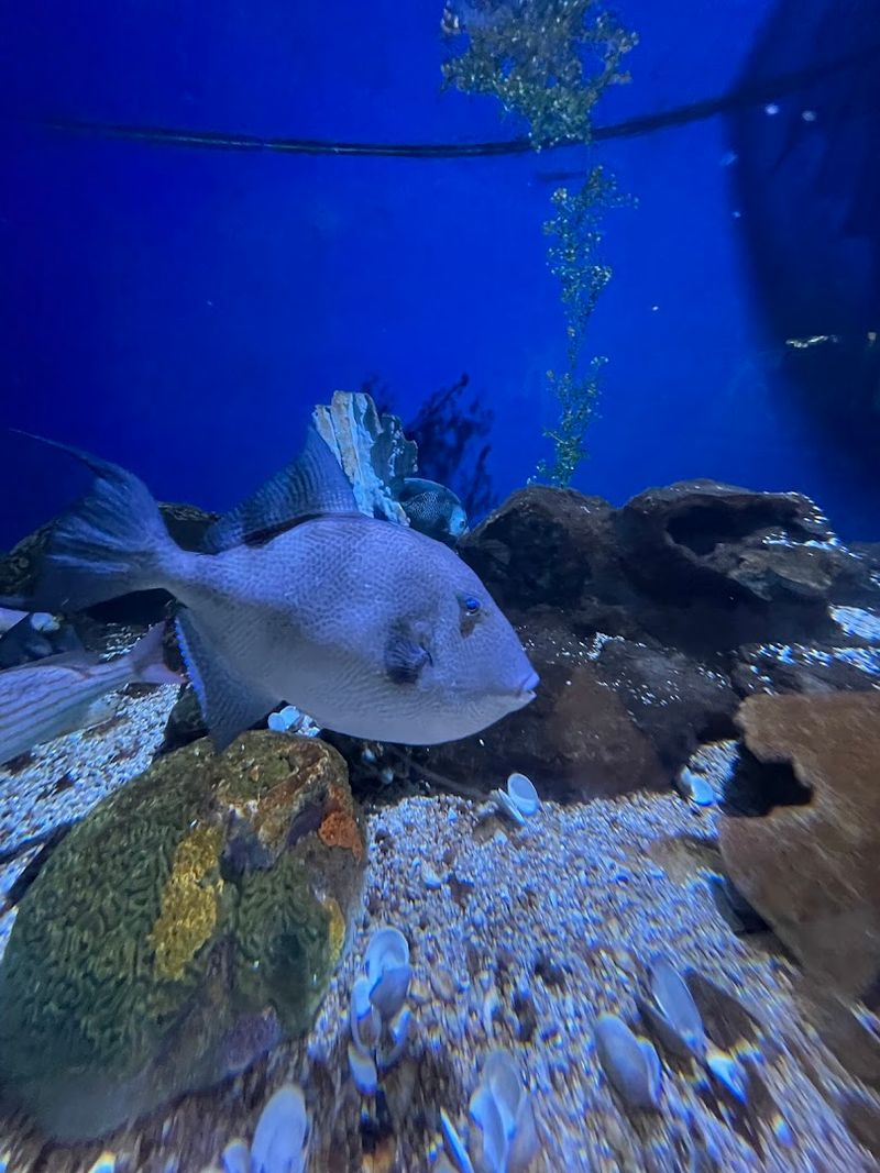 Discovery Caverns Interactive Exhibits