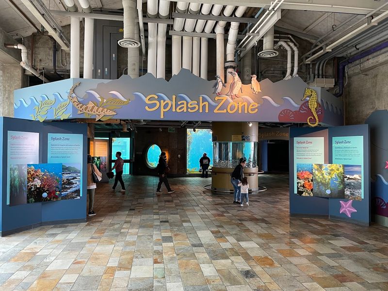Splash Zone And The Interactive Side Of The Aquarium