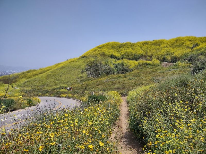 Alternative Trail Routes Make The Park Accessible For Different Fitness Levels