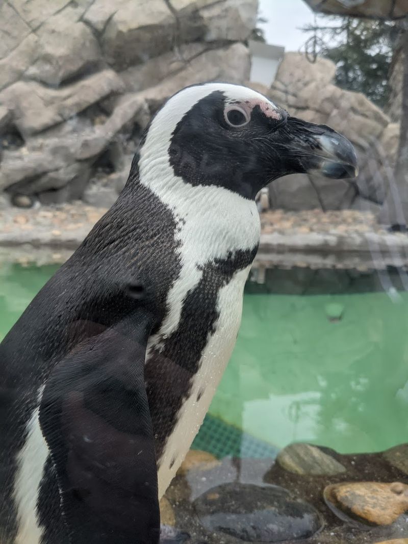 The Backstage Safari Offers A Behind-The-Scenes Animal Experience
