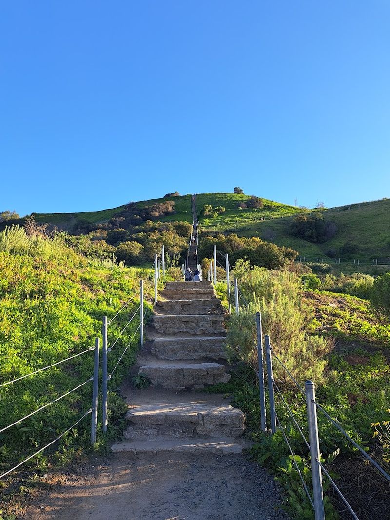 Morning Visits Offer Cooler Temperatures And A Quieter Trail Experience