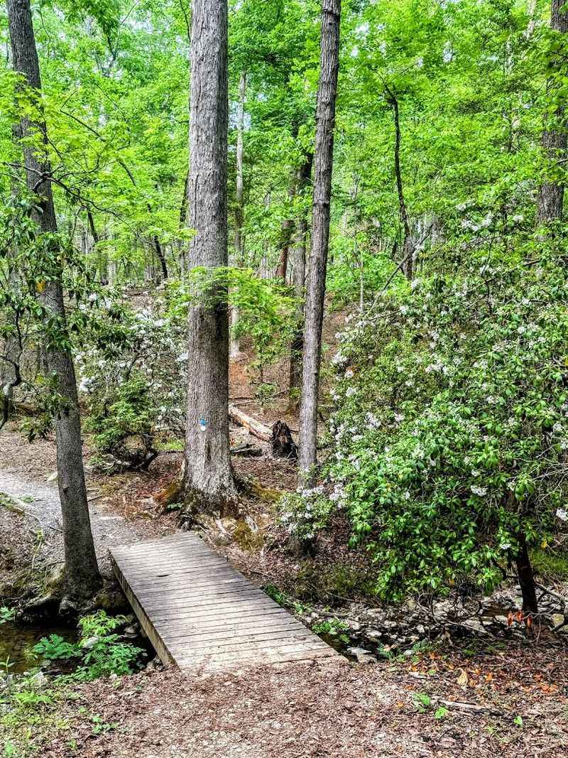 Trails That Actually Reward The Effort