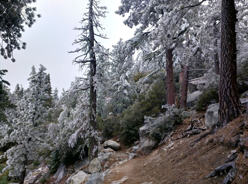 Significant Elevation Gain Makes The Hike Genuinely Challenging