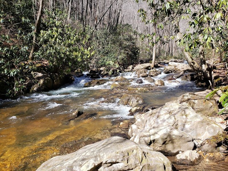 Anglers Love This Clarkesville Georgia State Park Where The State Record Spotted Bass Was Caught - Decor Hint Gateway to Nearby Waterfalls and Mountain Attractions