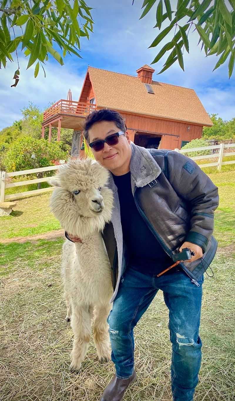 This California Farm Lets You Meet Adorable Alpacas And It's One Of The Most Fun Outdoor Experiences In The State - Decor Hint The Farm Is A Great Option For Special Occasions