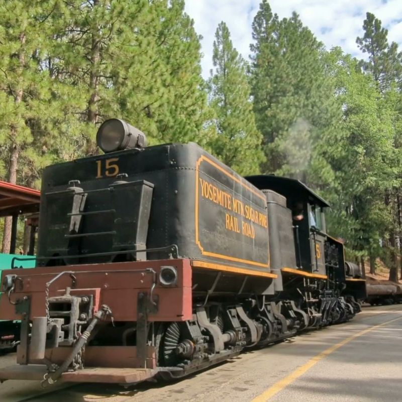 A Railroad Born From Logging History