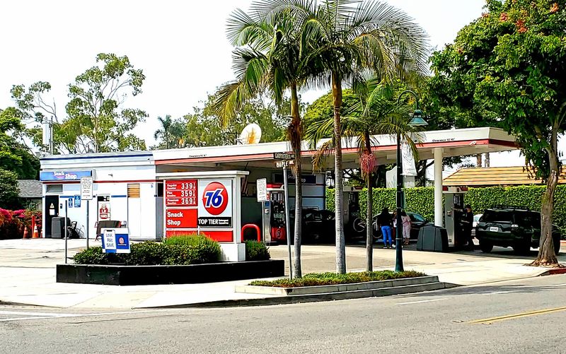 Year-Round Mediterranean Climate