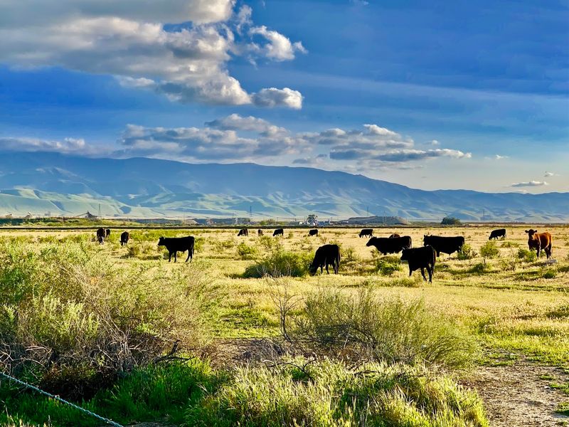 Ancient Native American Archaeological Sites