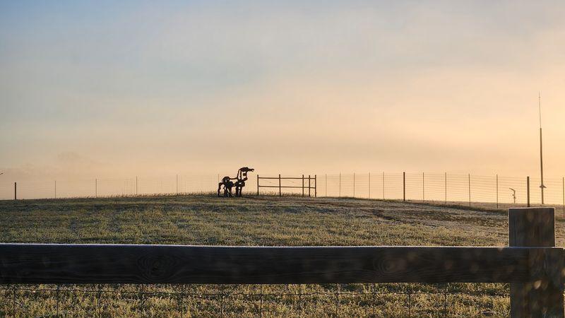 Decades of Vandalism and Resilience