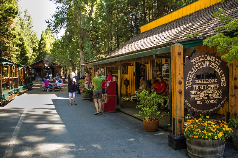 Narrated History Brings The Logging Era To Life