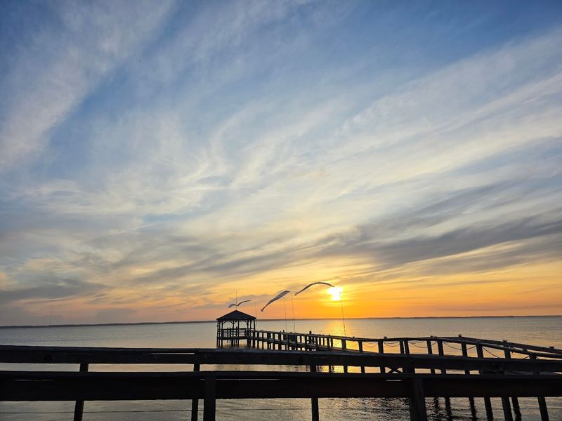 NC Coast Grill, Duck