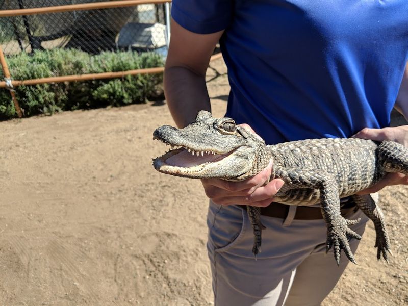 All Visits Are By Appointment Only