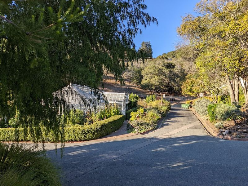 How The Community Rescued Falkirk In 1974