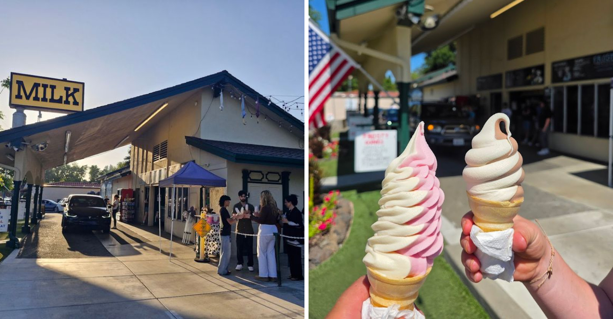 The Search For Northern Californias Best Soft Serve Ice Cream Might Just End At This Pleasanton Dairy - Decor Hint