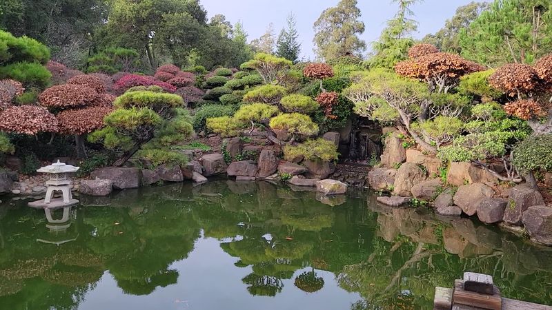 One Of California's Oldest Traditional Japanese Garden
