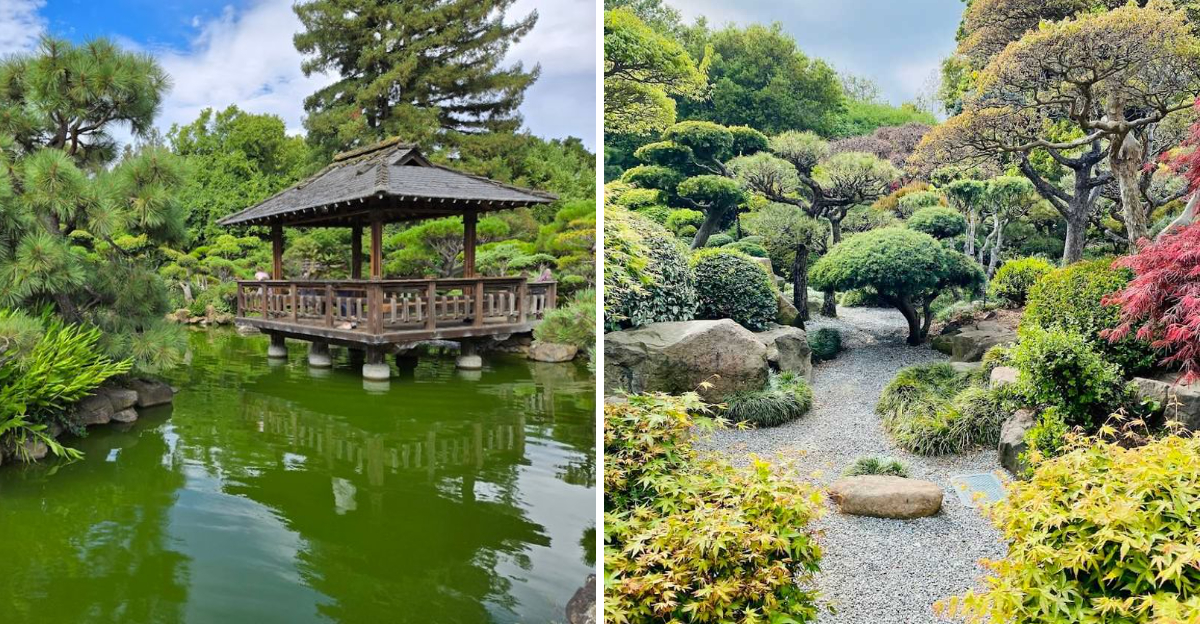 The Serene Japanese Garden In California That Feels Like Another World - Decor Hint