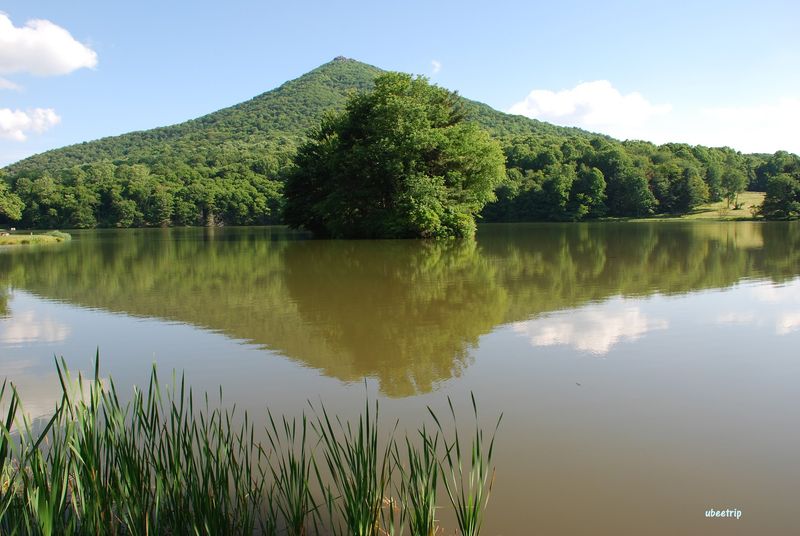 The Stop Everyone Skips But Absolutely Should Not