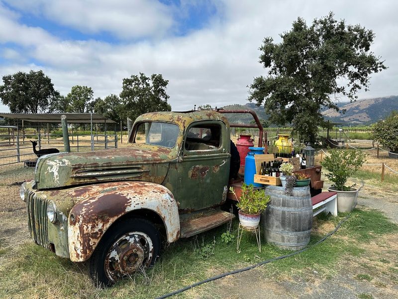 A Family-Friendly Destination With Broad Appeal