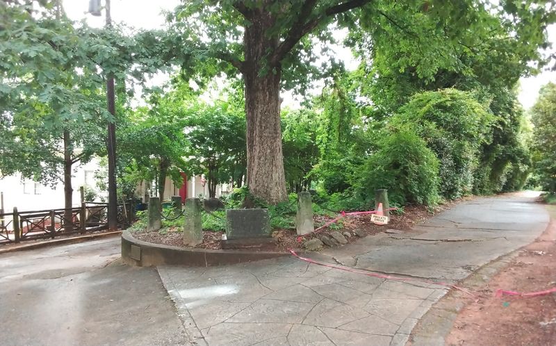 The Quirky Legal Reality