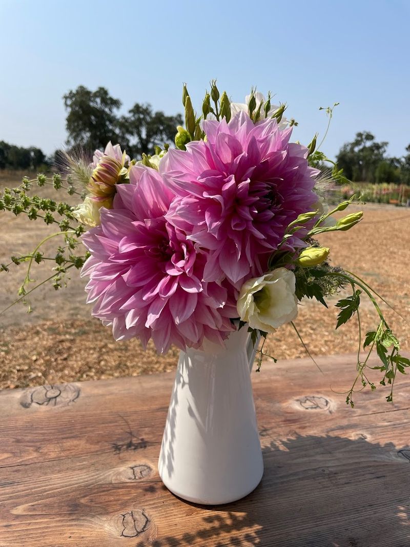 This California Flower Farm Turns April Into A Living Spring Canvas - Decor Hint Building A Bouquet