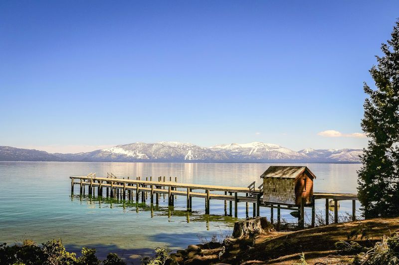 Dog Regulations And Why They Matter Here