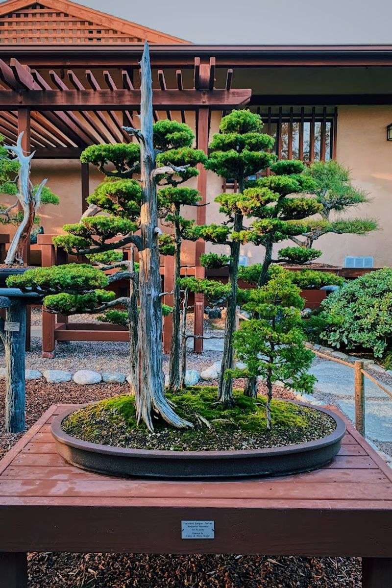 How A Gift From Japan Helped Shape This Space