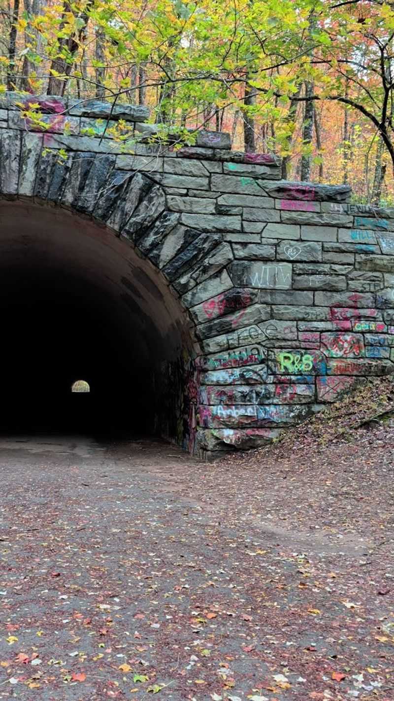 Walking Through The Tunnel That Leads To Nothing