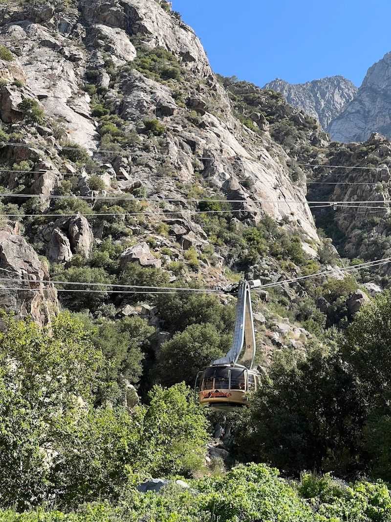 Boarding At Desert Level And What Sets This Apart Immediately