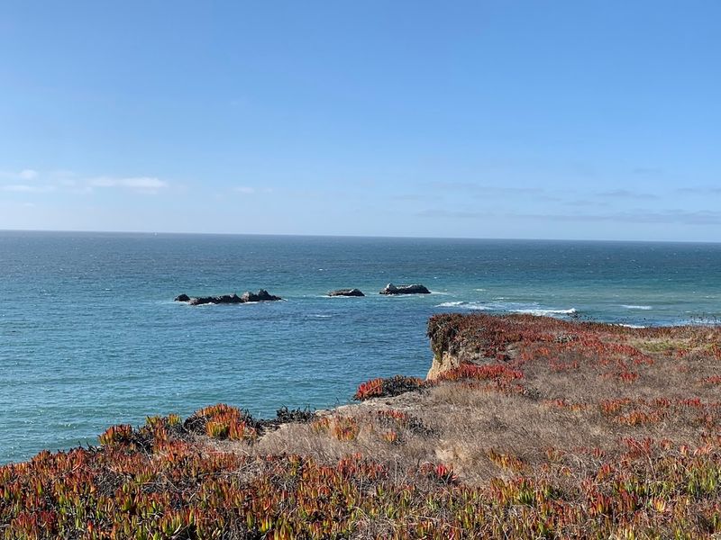 Whale Watching Is Possible During Migration Season