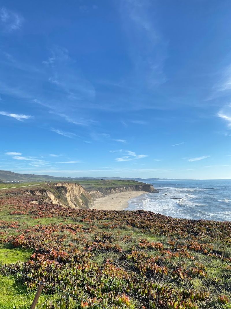 Spring Wildflowers Transform The Bluffs Into A Colorful Display