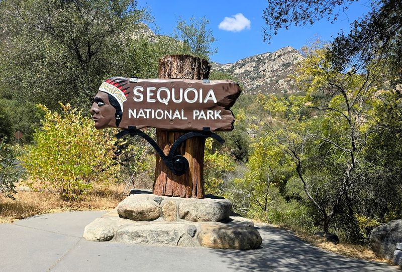 Black Bears And Hundreds Of Bird Species Share The Park