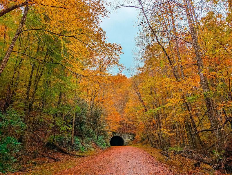 A Road That Was Never Meant To End Here