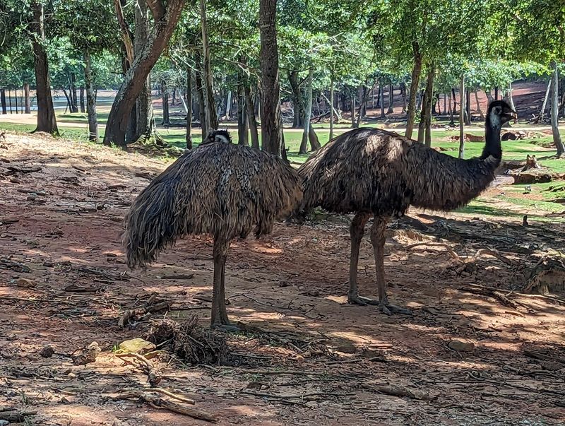 A Truly Family-Friendly Destination